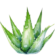 100% Gel de aloe vera